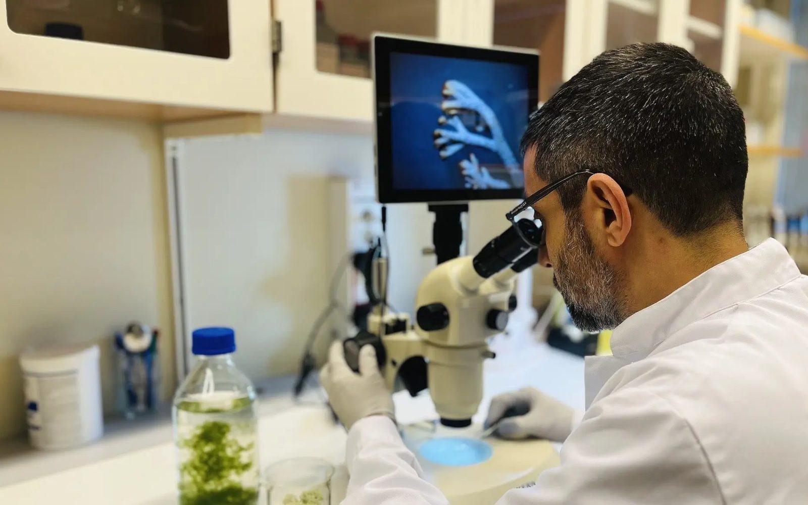 Dr. Hasan Tükenmez examining reindeer lichen under a stereo microscope